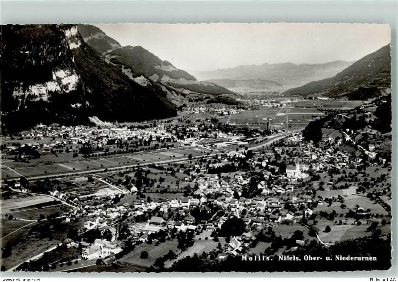 8753 Mollis - 10203941