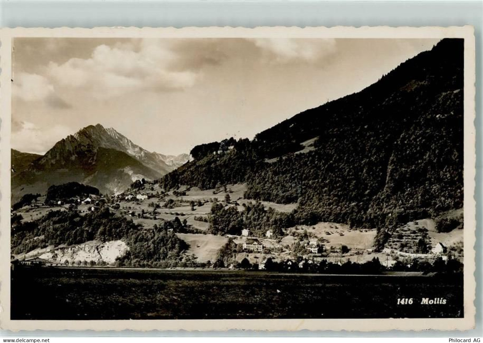 8753 Mollis - 10203943