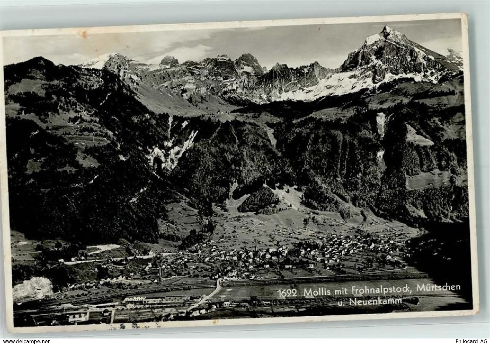 8753 Mollis - 10203945