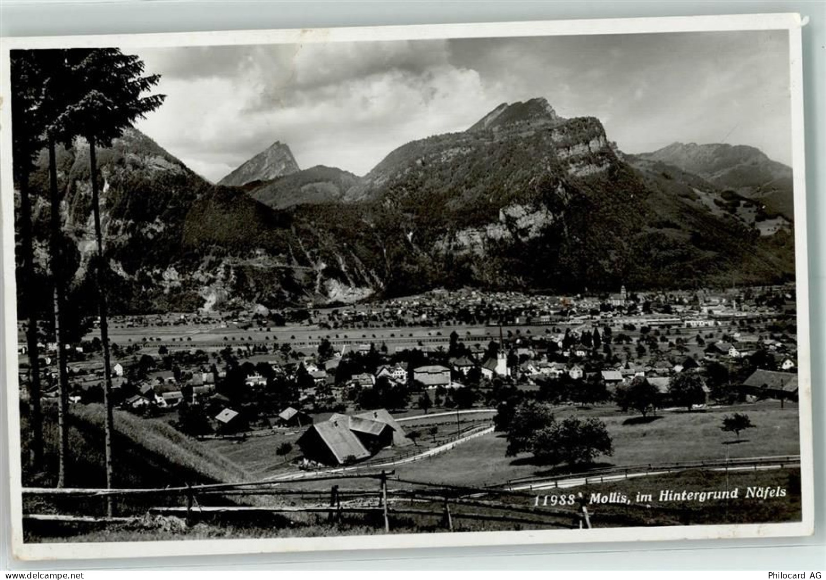 8753 Mollis - 10203948