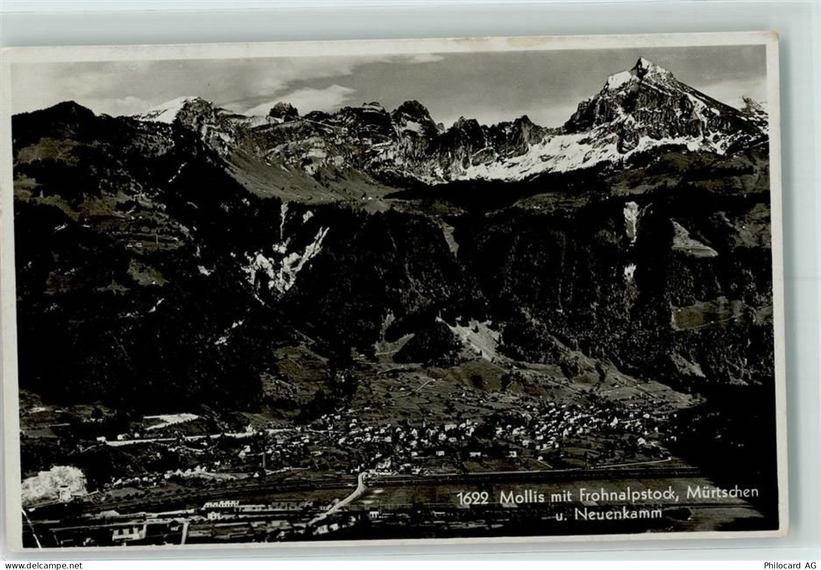 8753 Mollis - 10203950