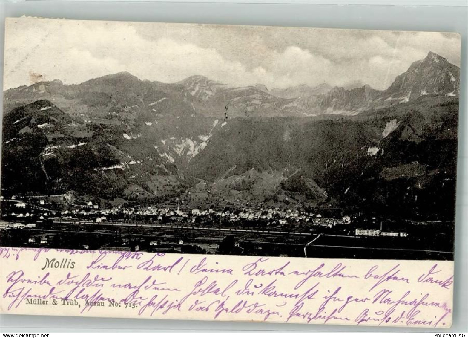 8753 Mollis 1903 Foto AK - 38186404