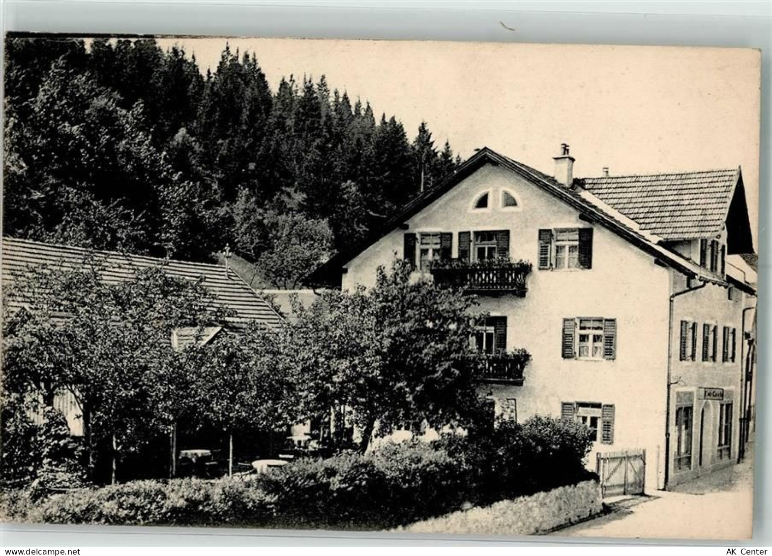 87629 W8958 Füssen 1913 - Obstbaumblüte - 13513860