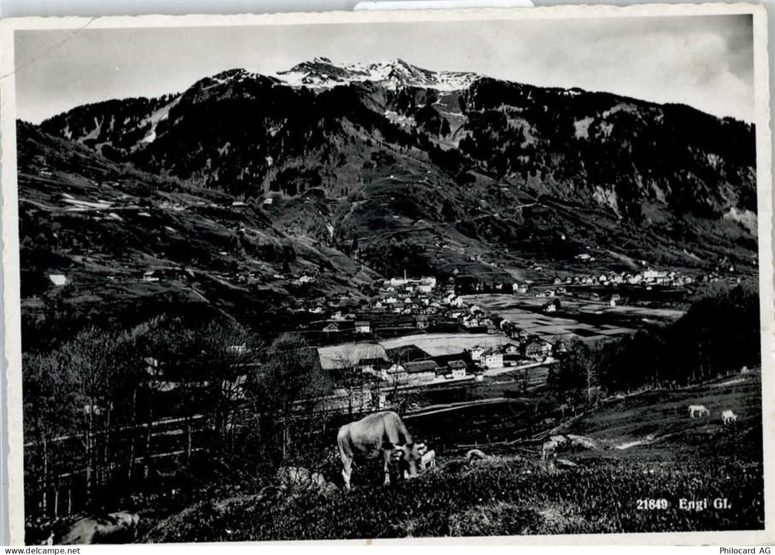 8765 Engi - Gesamtansicht - 50746783