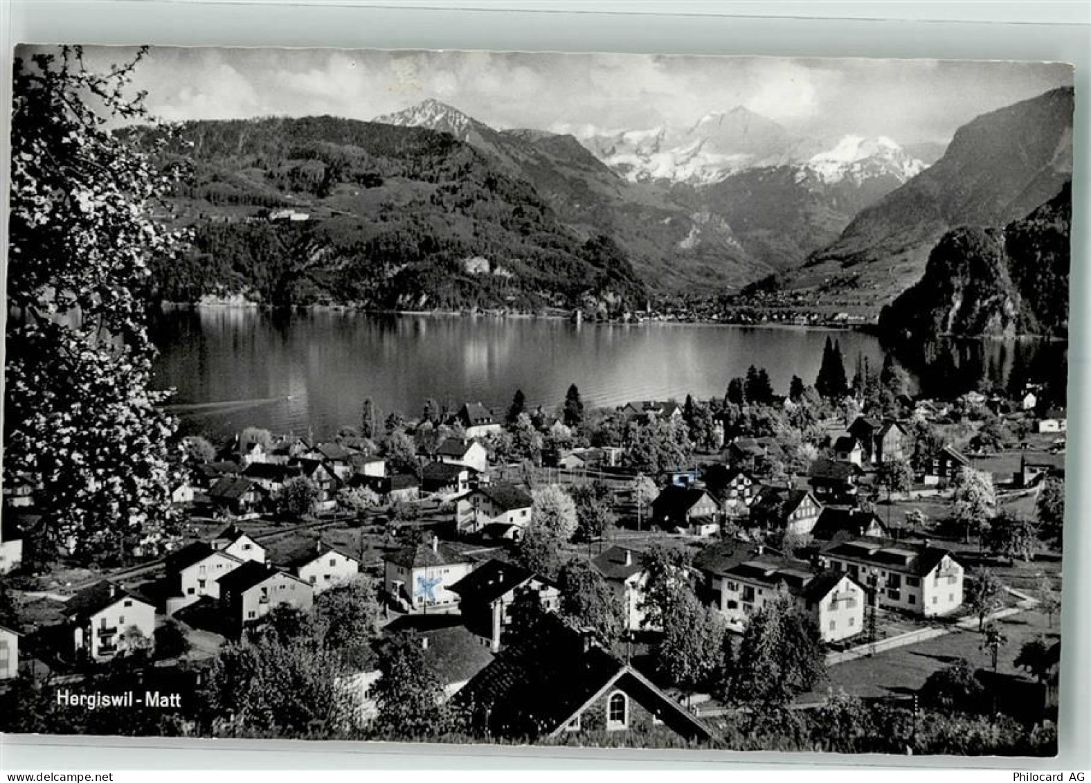 8766 Matt - 39697439