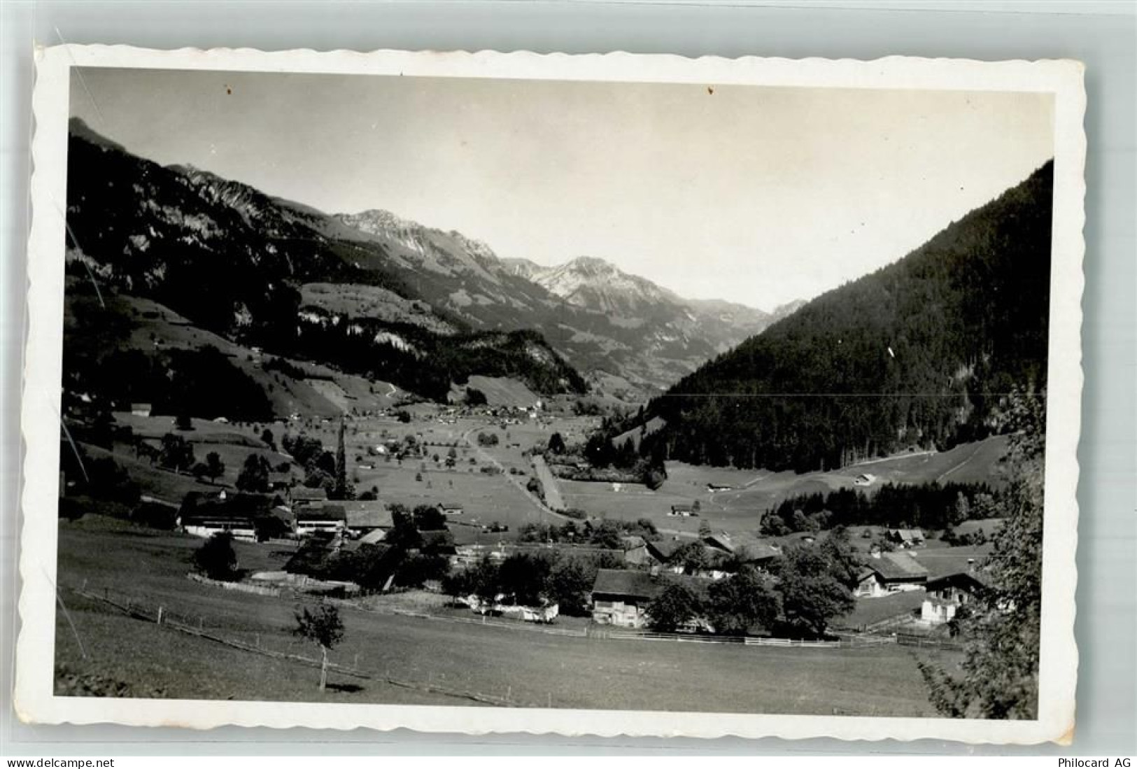 8766 Matt Foto AK Eschi- Weissenbach - 10742600