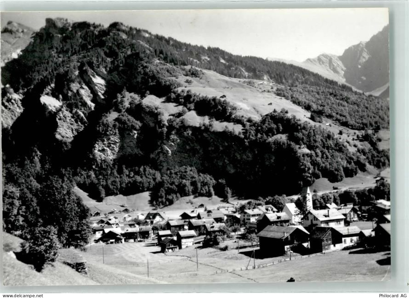 8767 Elm - Fahnenstock - 39410951