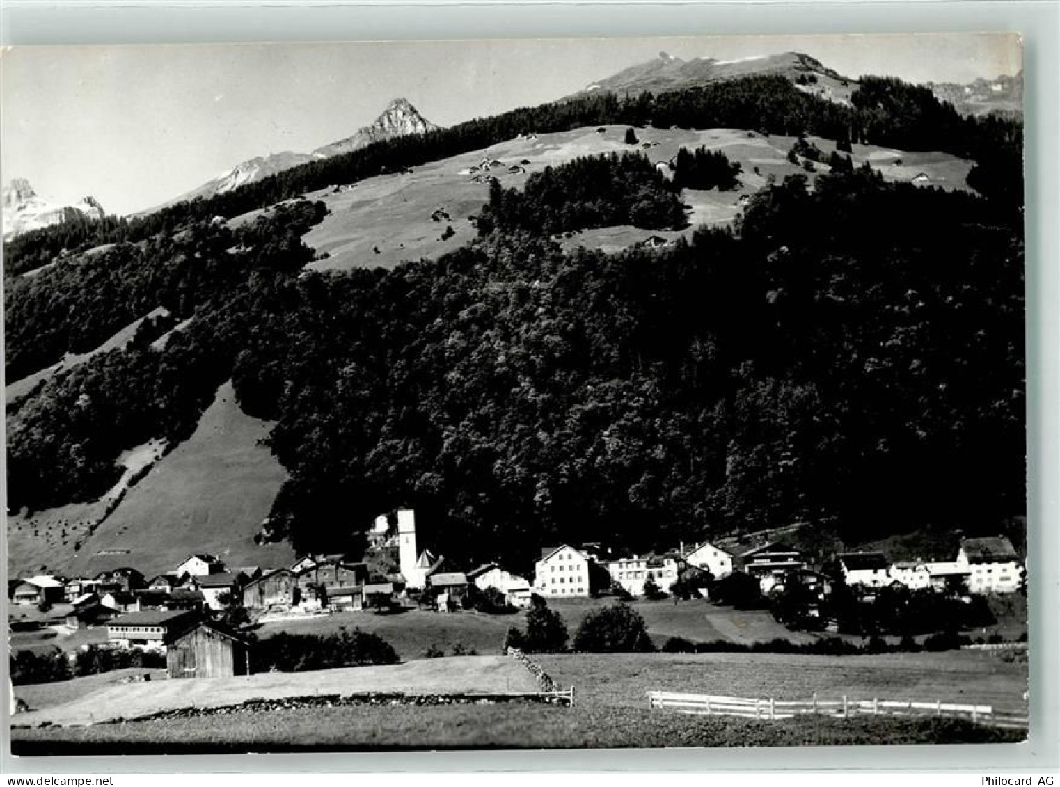 8767 Elm - Kärpf Schabell - 39410942