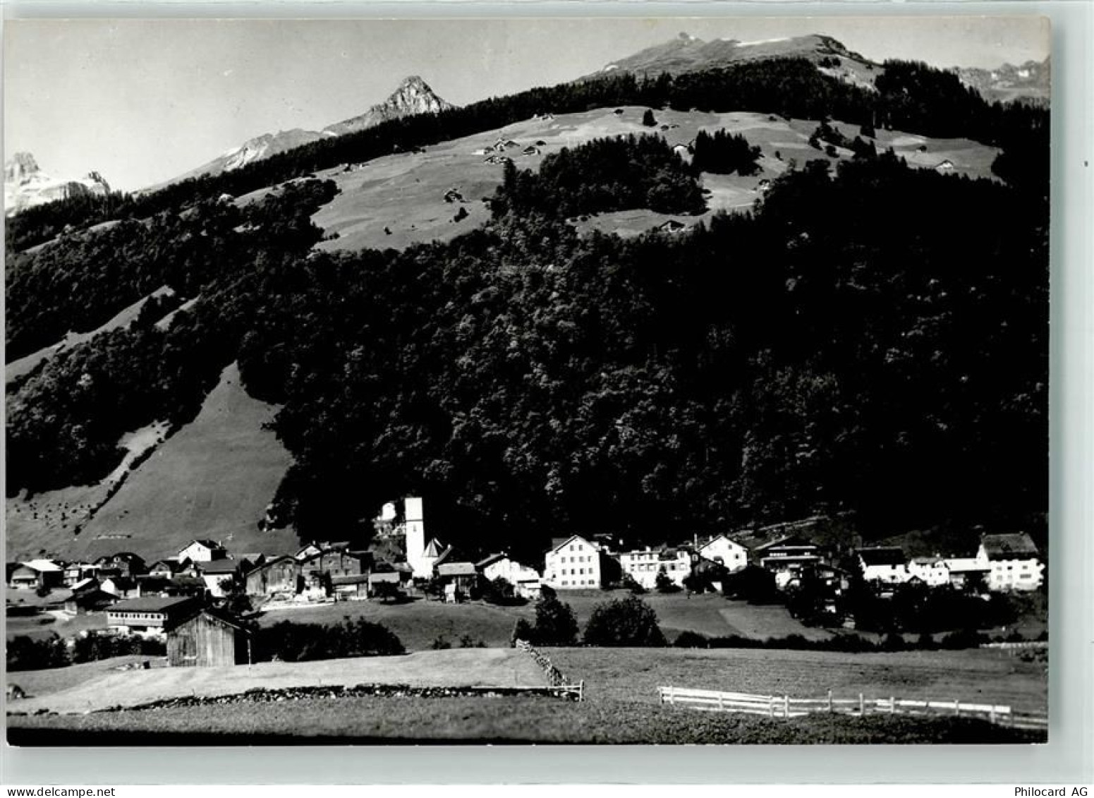 8767 Elm - Leiterberg Kärpfstock - 39410952