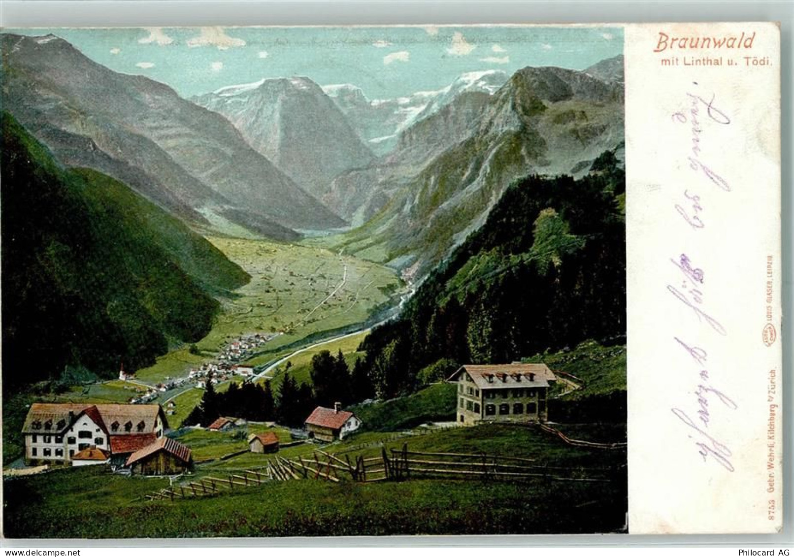 8784 Braunwald - 10203813