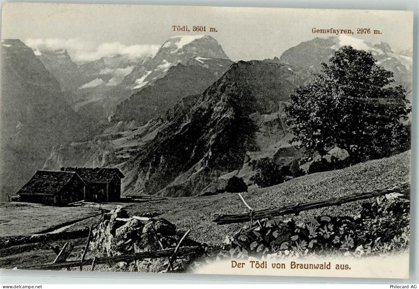8784 Braunwald - 10203814