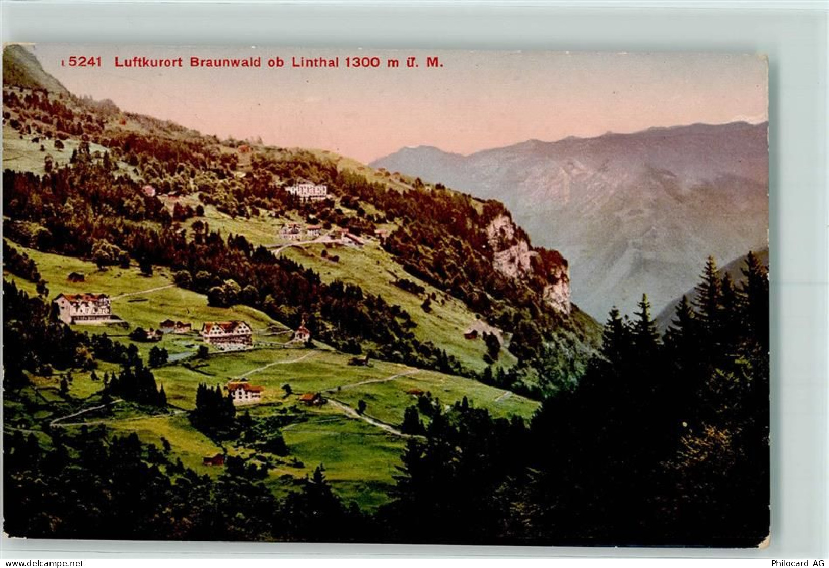 8784 Braunwald - 10203821