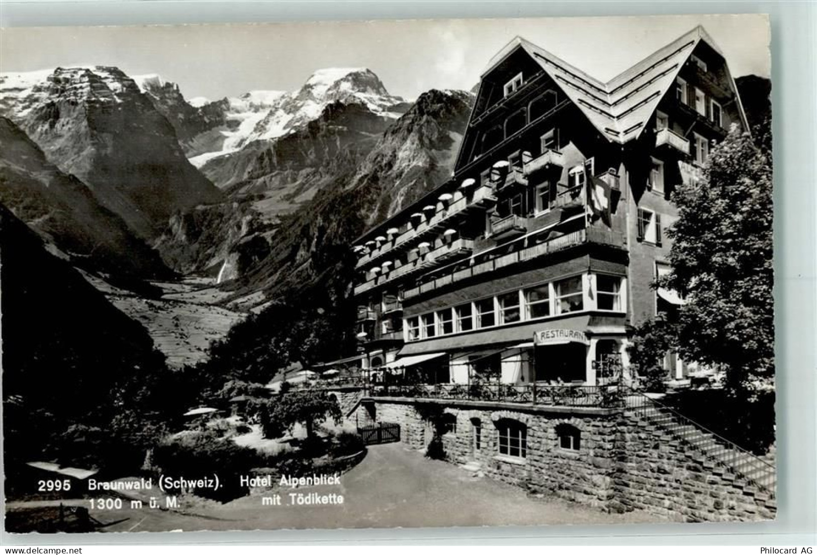 8784 Braunwald - 10203824