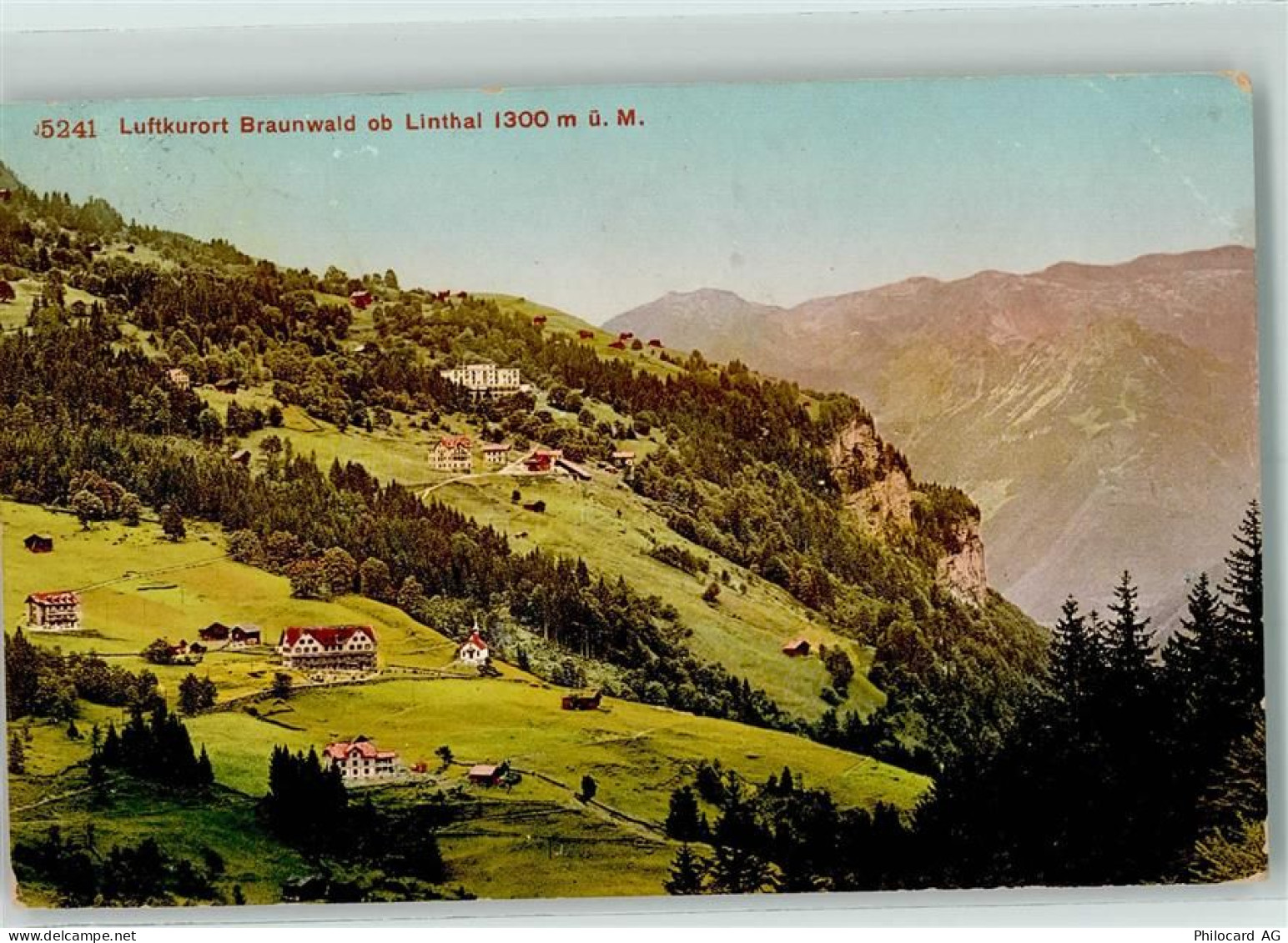 8784 Braunwald - 10203849