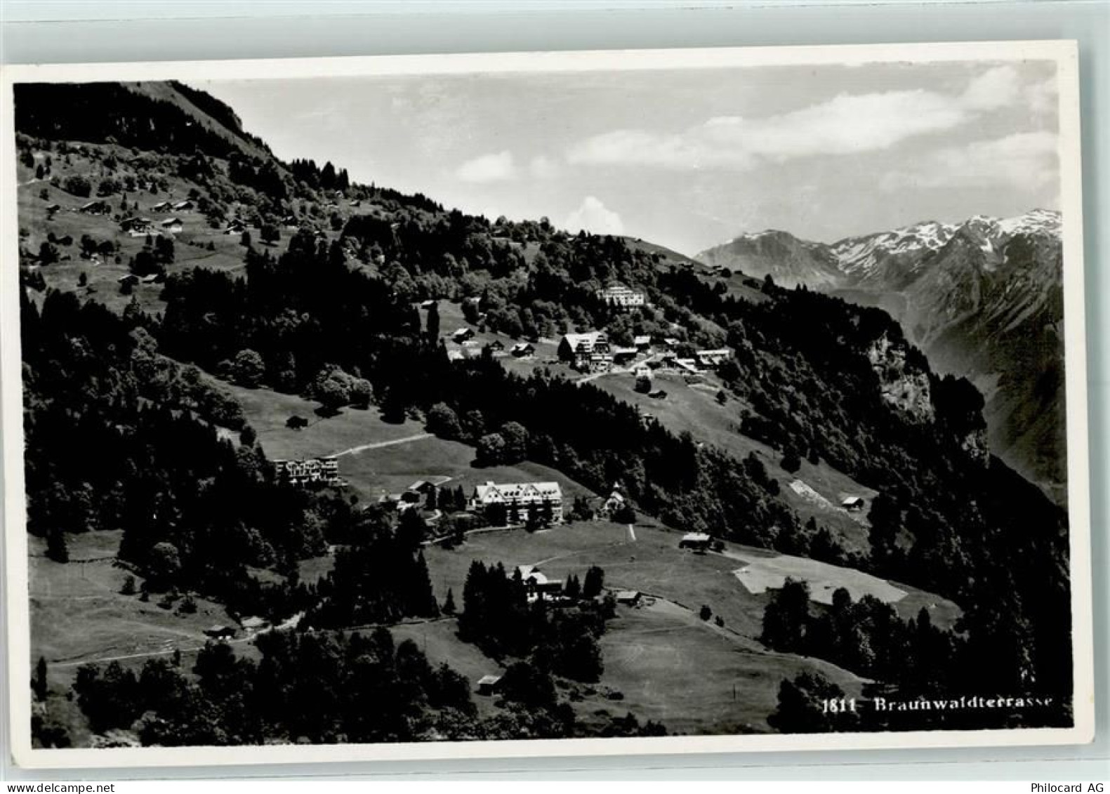 8784 Braunwald - 10203850