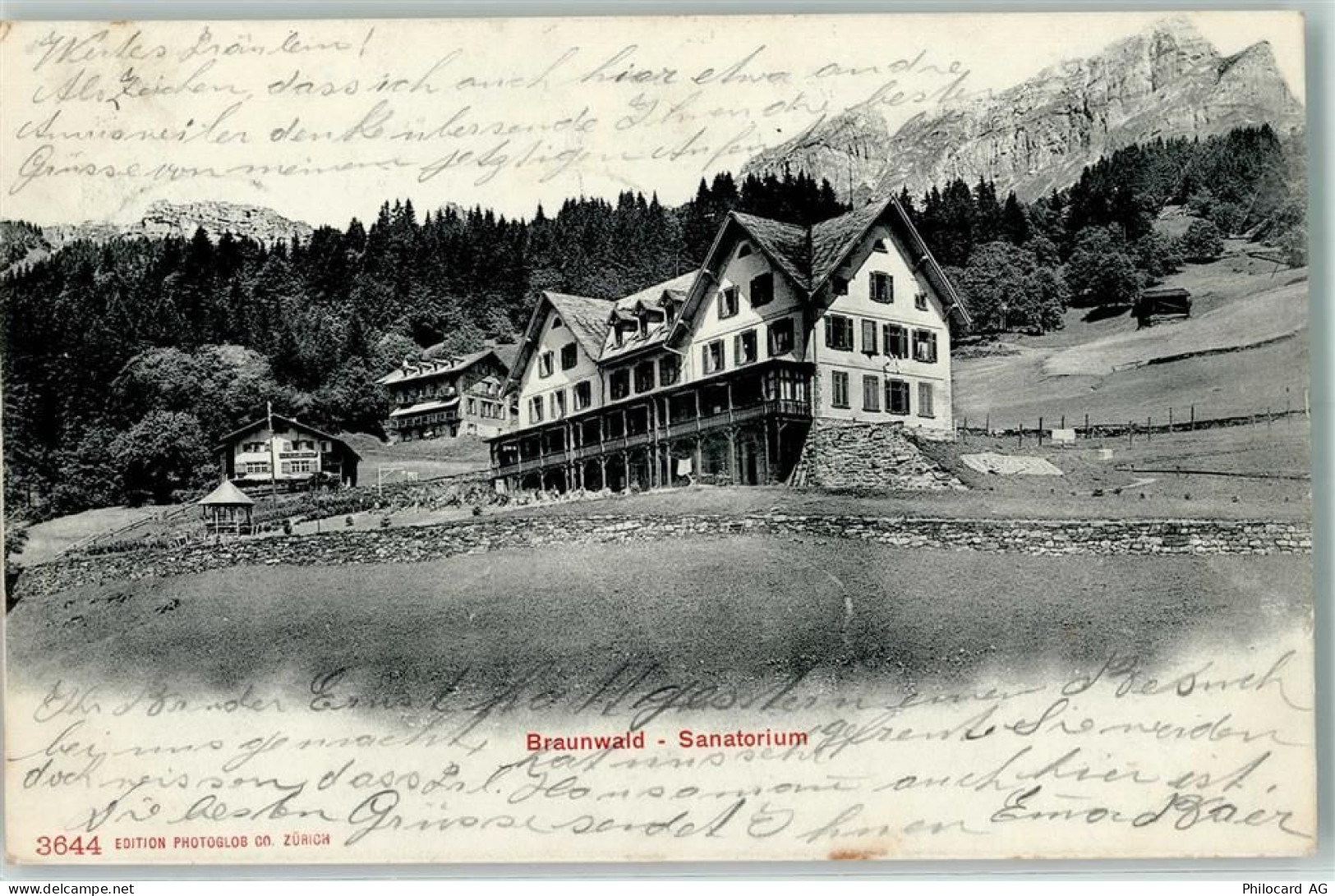 8784 Braunwald - 10203851