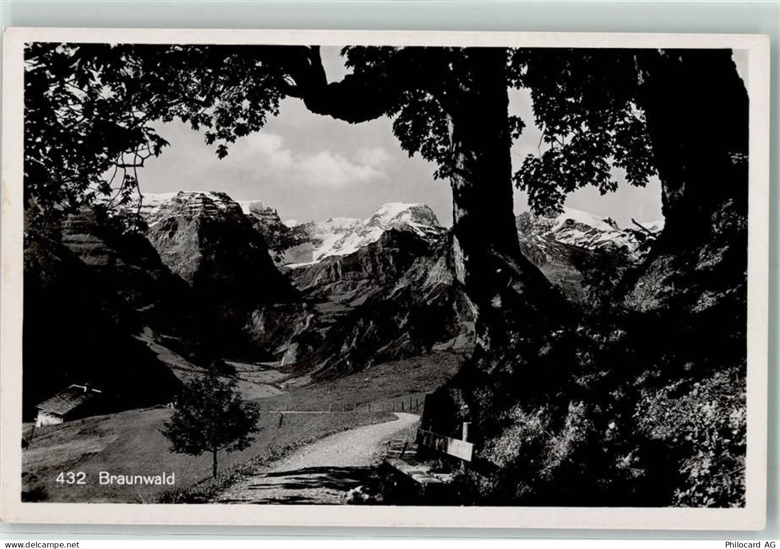 8784 Braunwald - 10306051