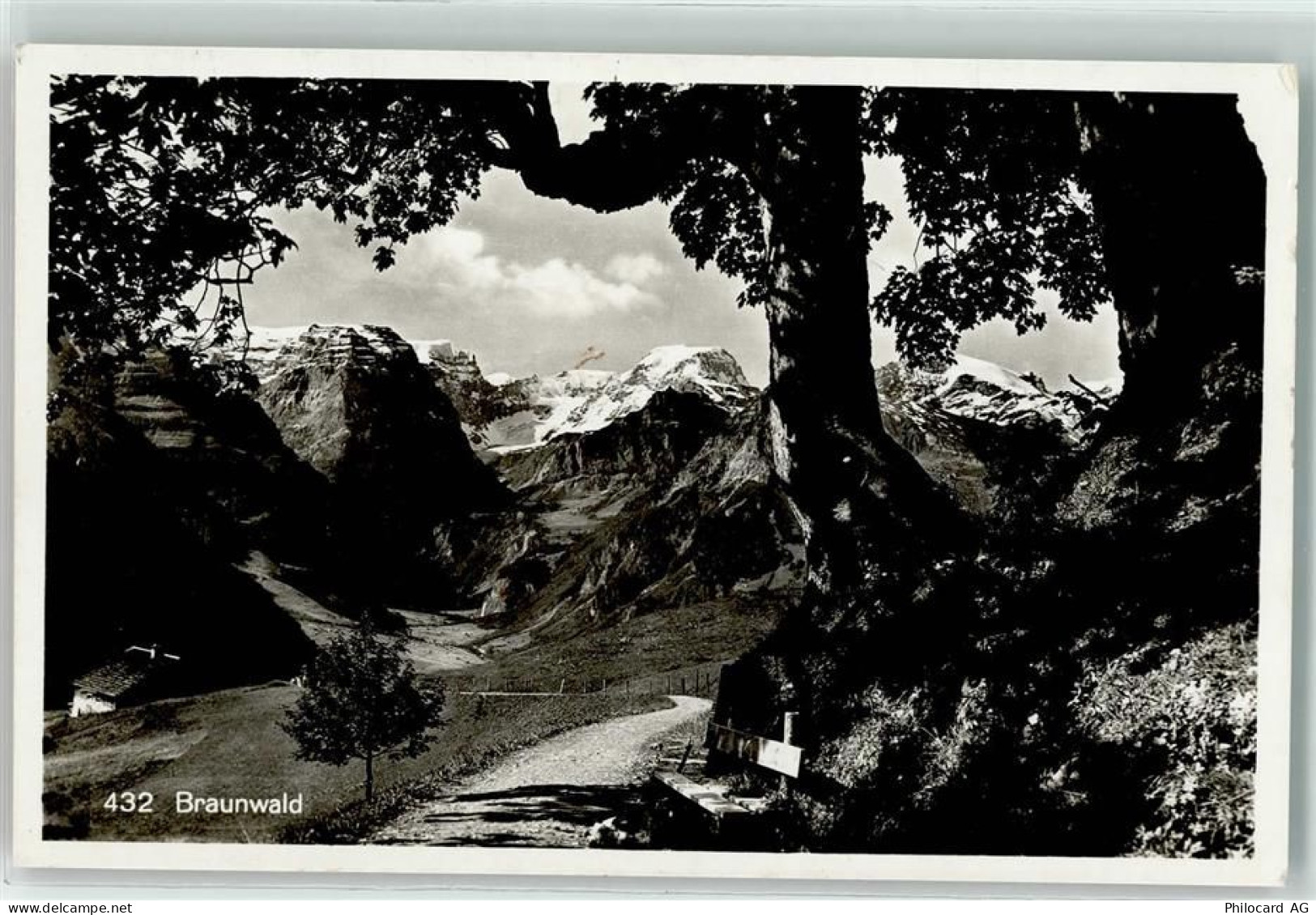 8784 Braunwald - 10588818