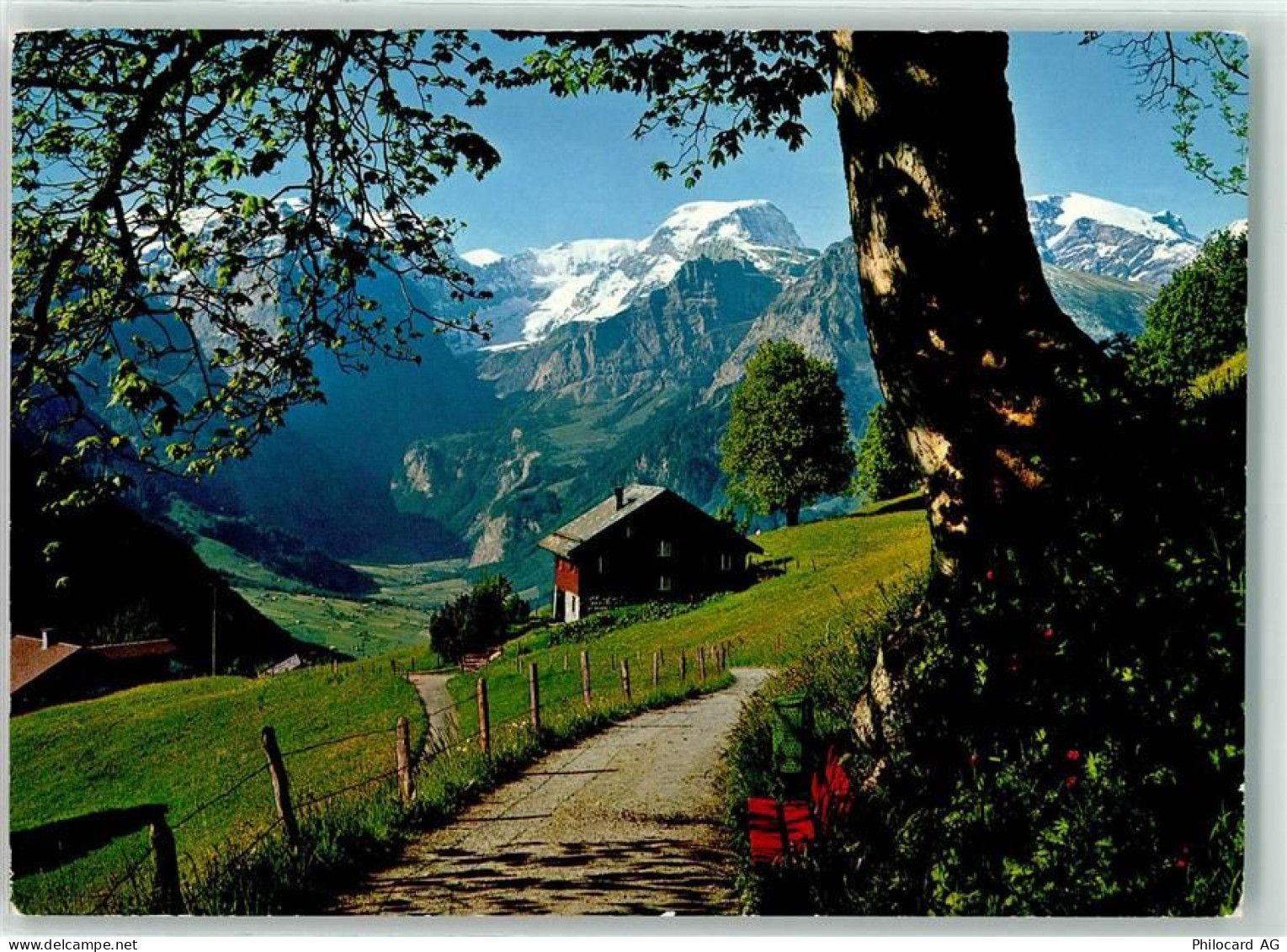 8784 Braunwald - 39492282