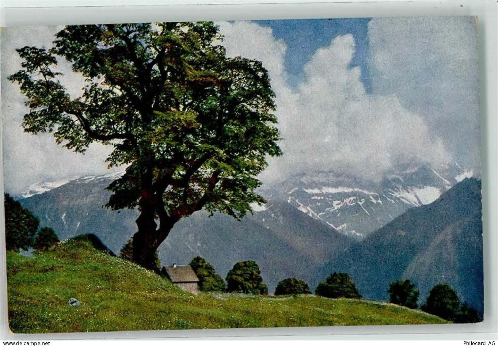 8784 Braunwald - 39495050