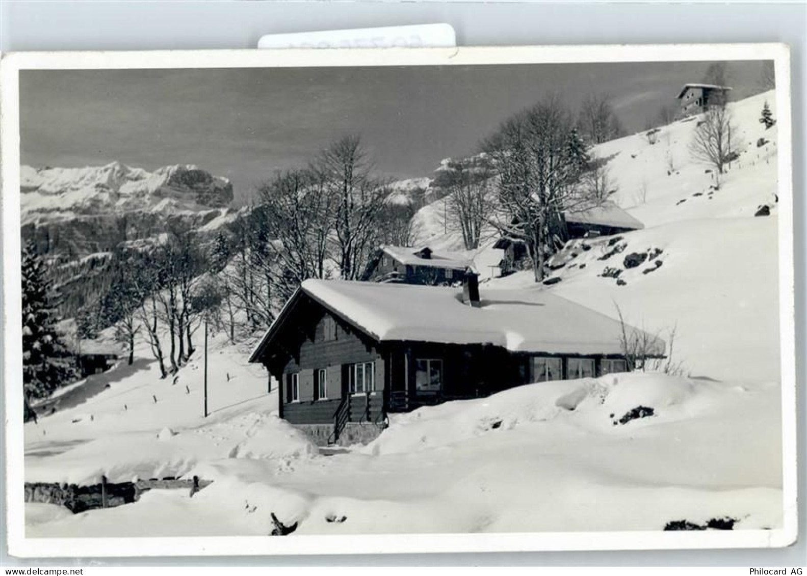 8784 Braunwald - 50775361