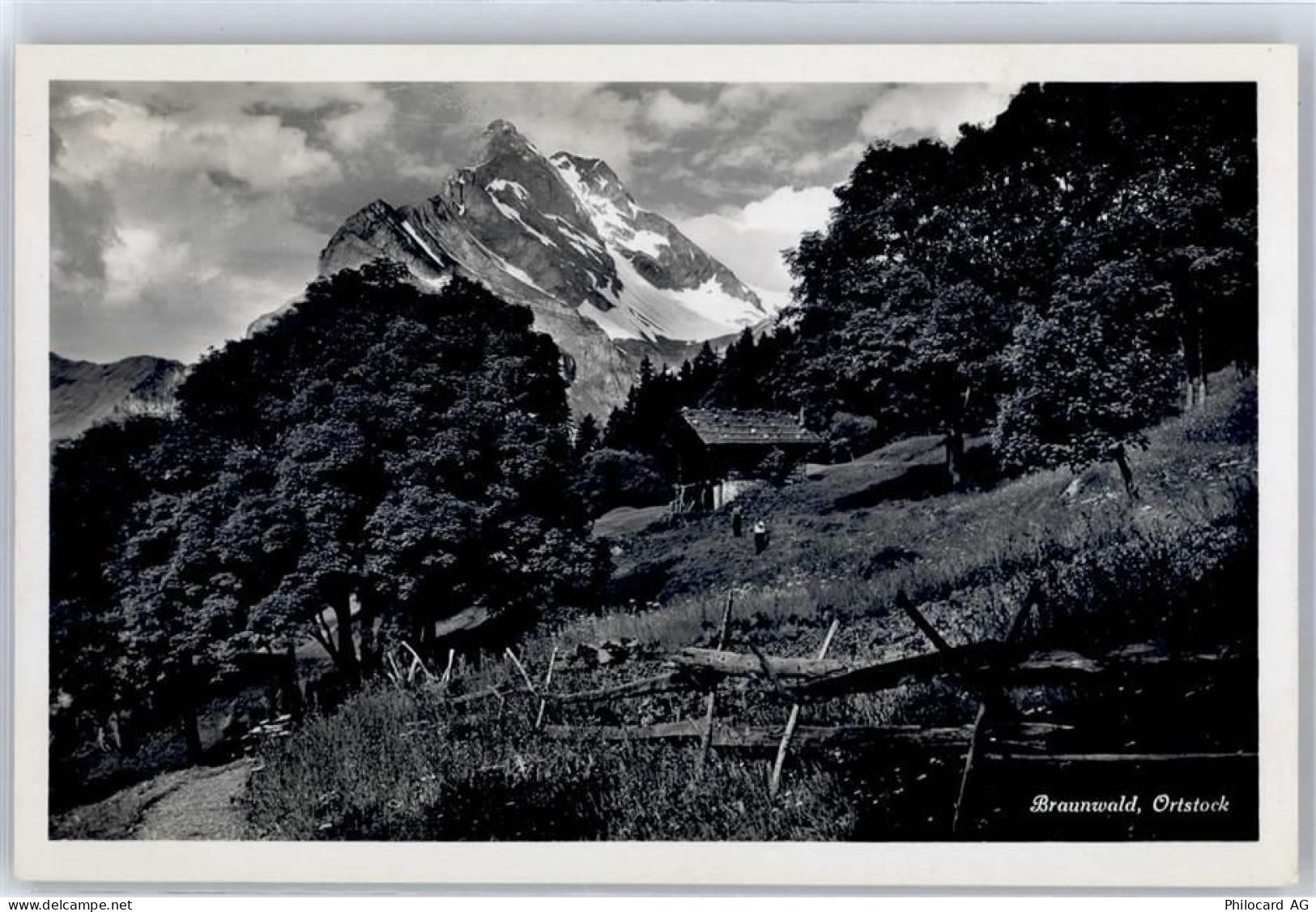 8784 Braunwald - 51427303