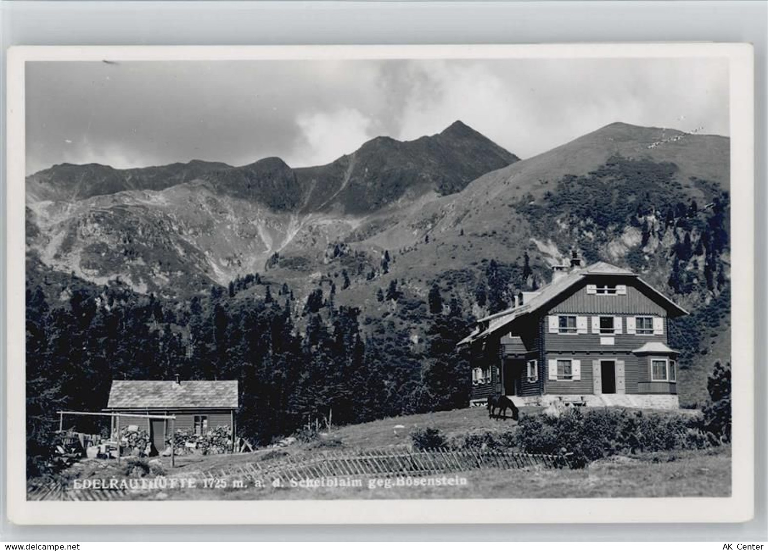 8784 Trieben - Edelrautehütte Hüttenstempel - 10042562