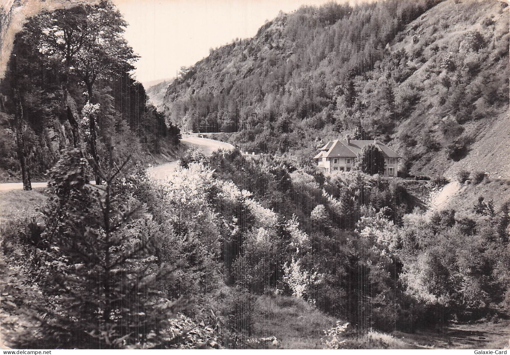 88 BUSSANG COL DE BUSSANG