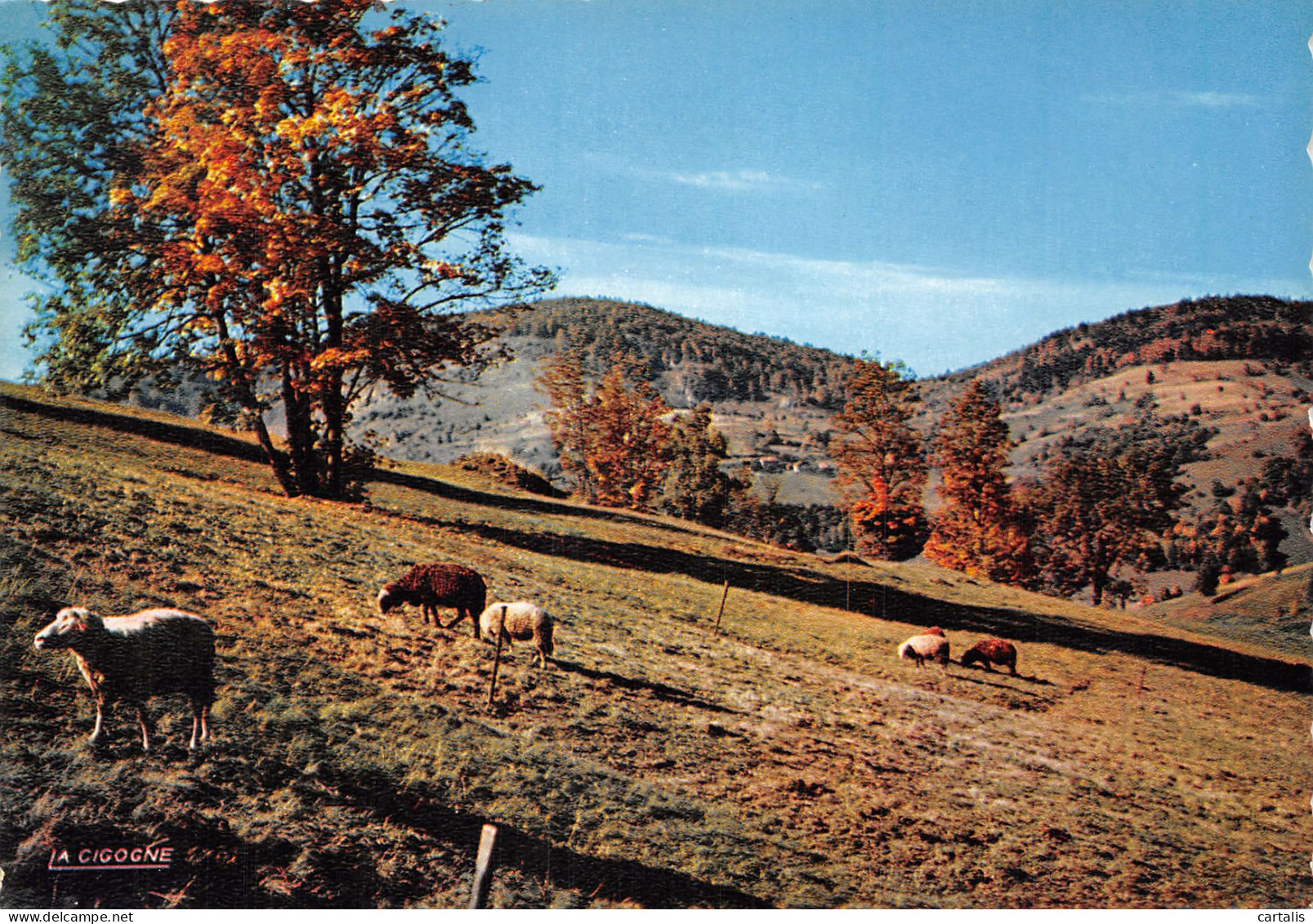 88-COL DE BUSSANG-N°4247-D/0395