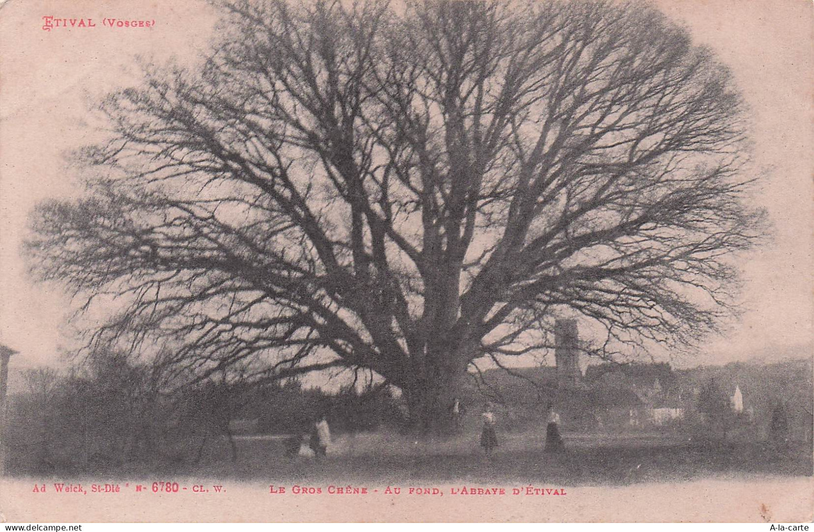 88 ETIVAL CLAIREFONTAINE LE GROS CHENE ABBAYE D ETIVAL