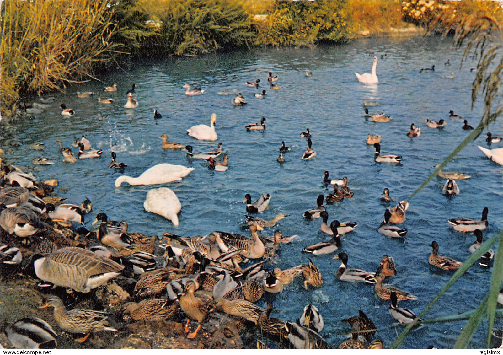 88-ETIVAL CLAIREFONTAINE-N°3457-A/0099