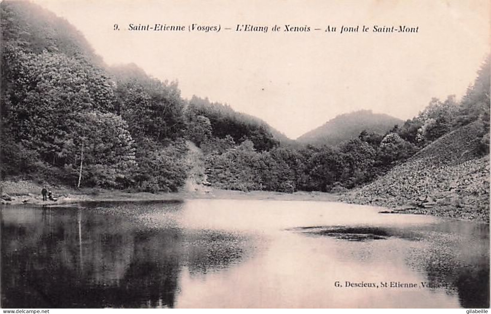 88 -  SAINT ETIENNE lez REMIREMONT - l'étang de Xenois