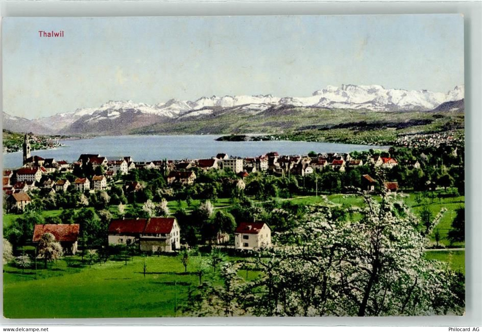 8800 Thalwil - 13197815