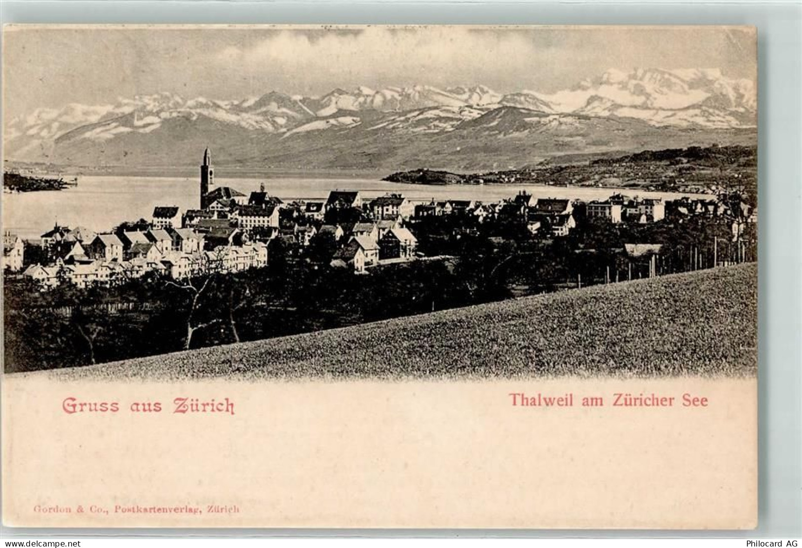 8800 Thalwil 1900 - 10623679