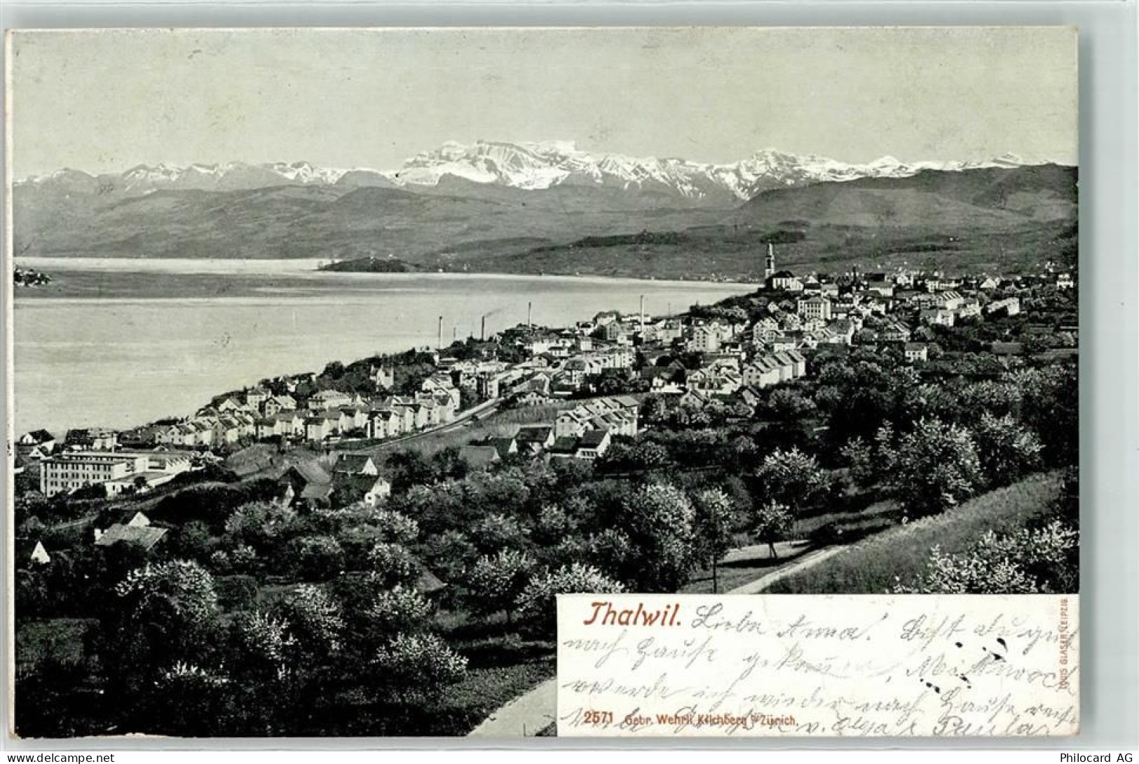 8800 Thalwil 1902 - 13197861