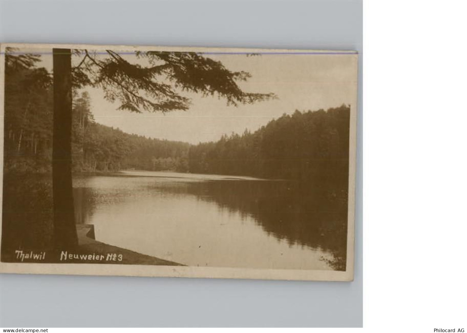 8800 Thalwil - 50320598