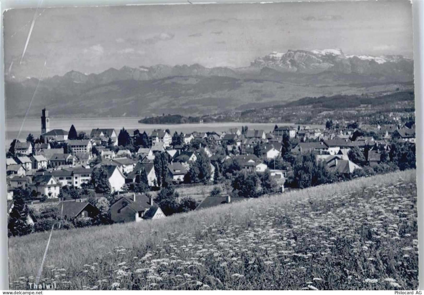 8800 Thalwil - 50564327