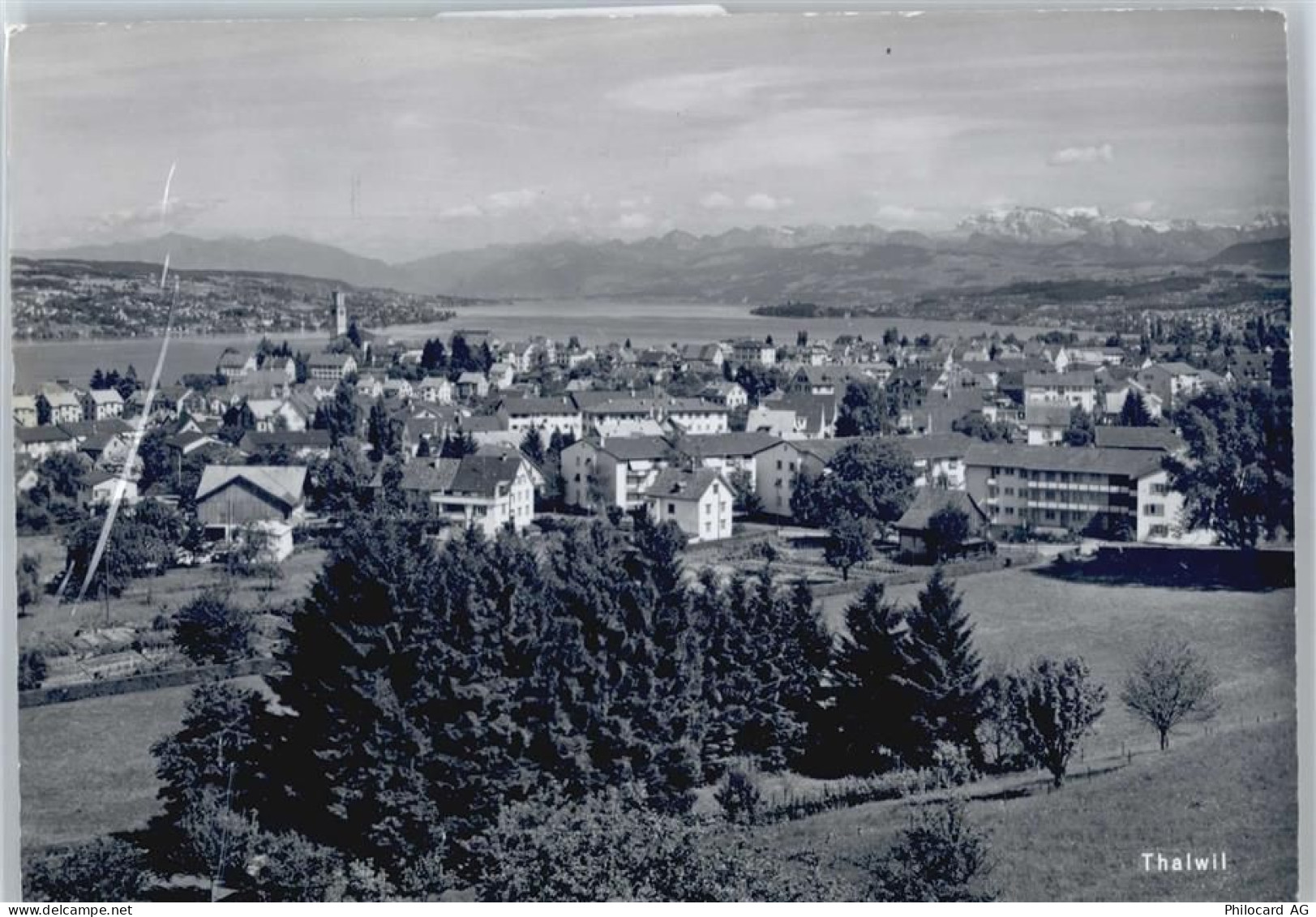 8800 Thalwil - 50564330
