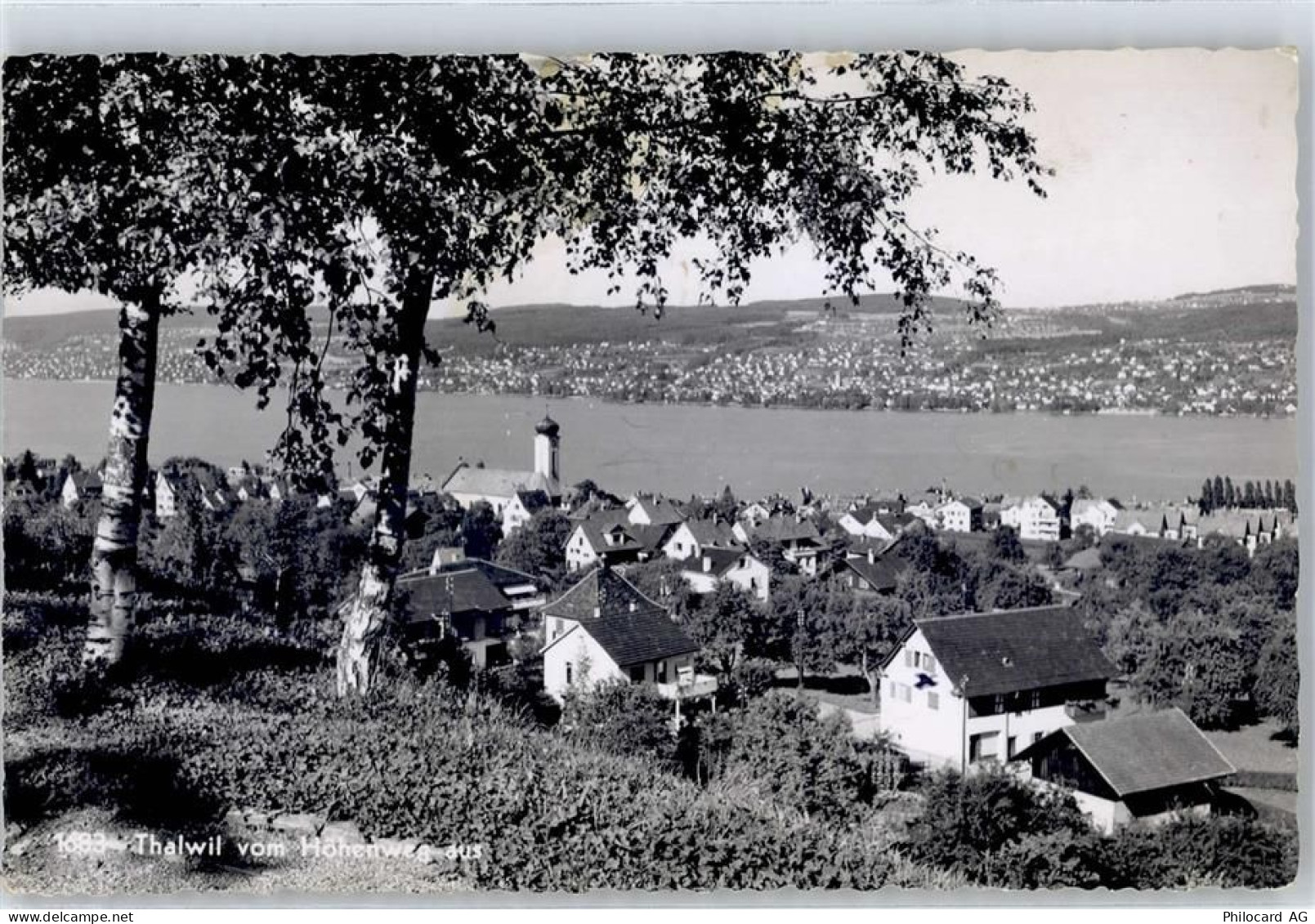 8800 Thalwil - 51486492