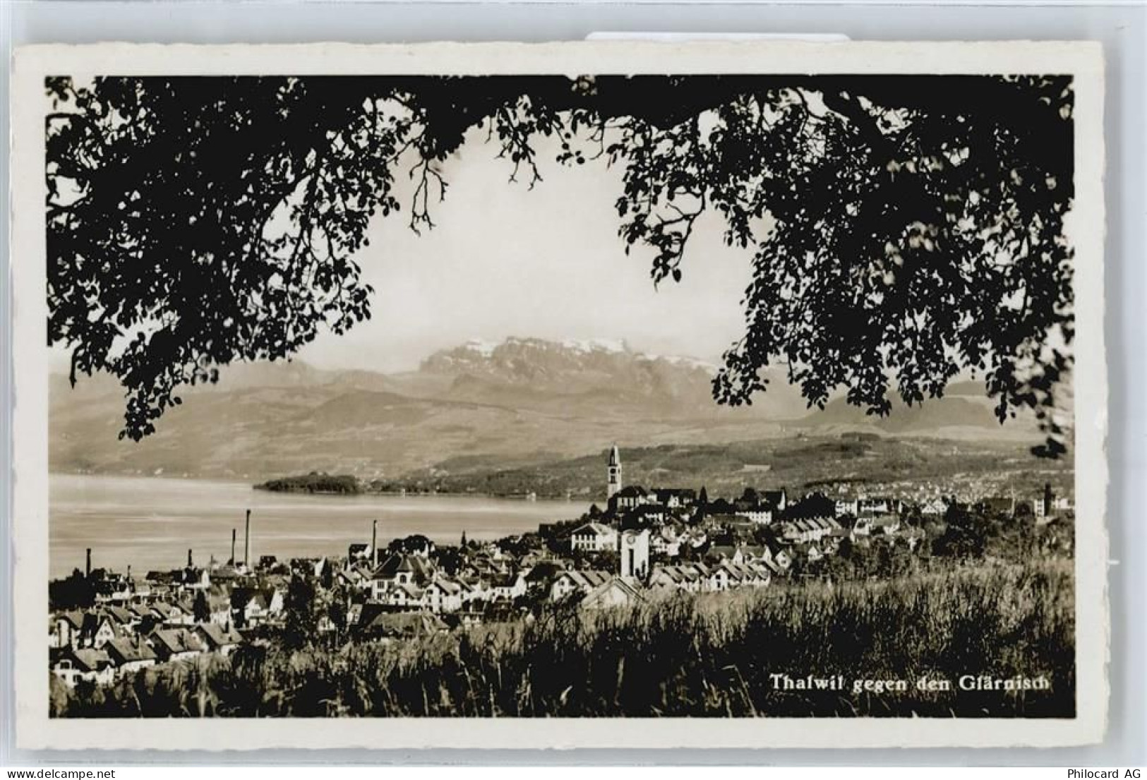 8800 Thalwil - Panorama - 50672307