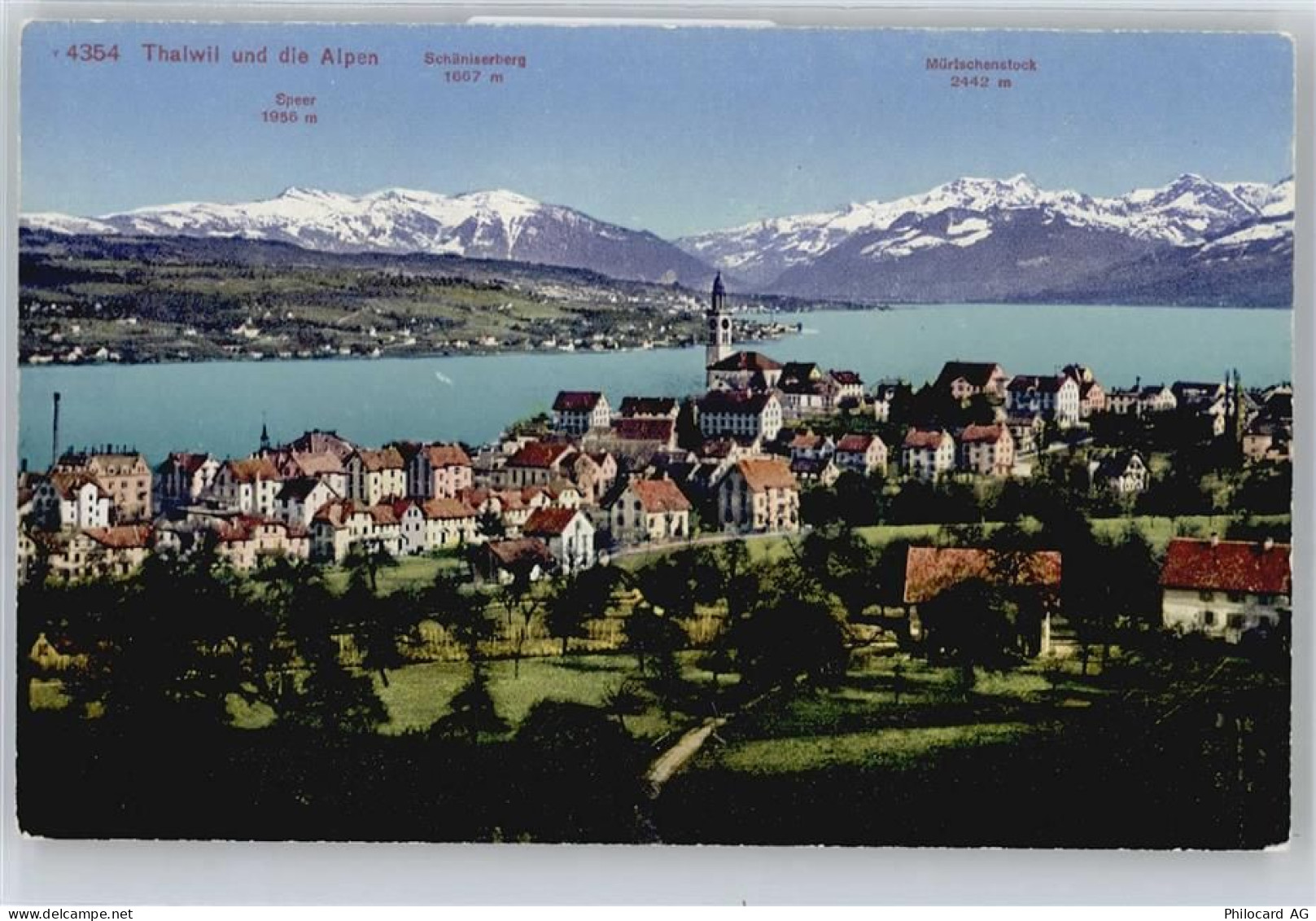 8800 Thalwil - Panorama - 50672447