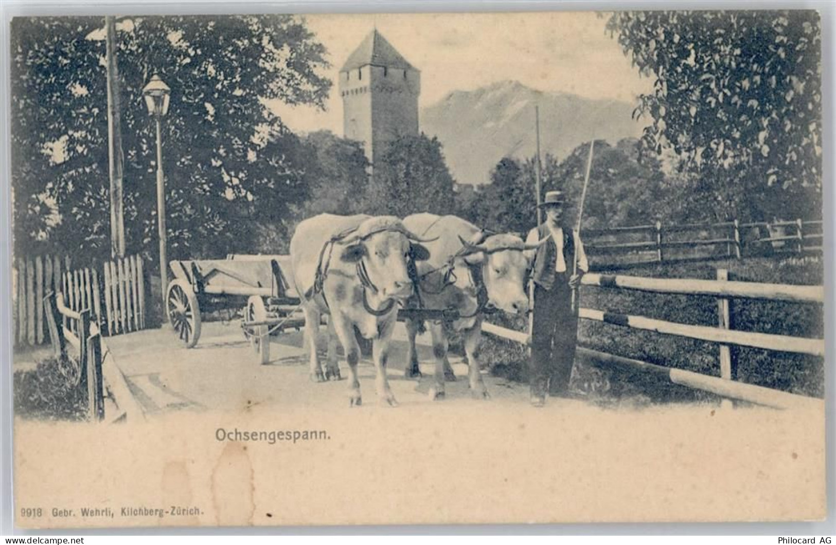 8802 Kilchberg ZH - Ochsengespann - 50894566