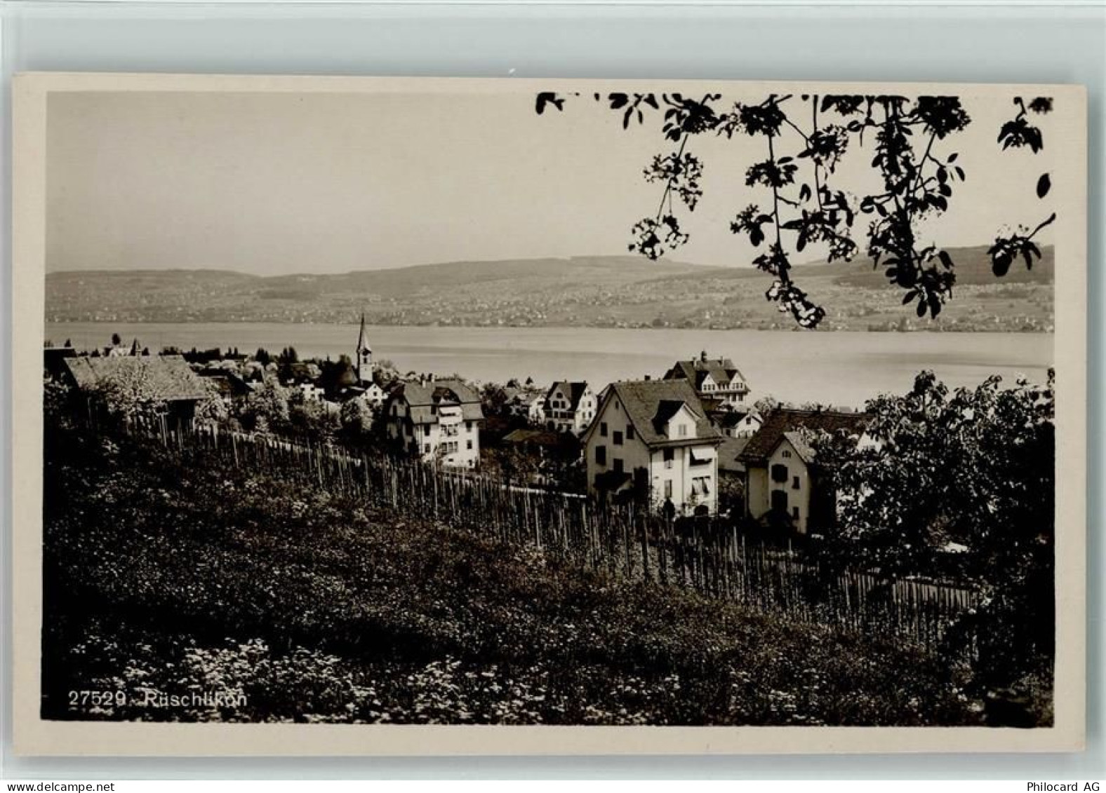 8803 Rüschlikon - 13113084
