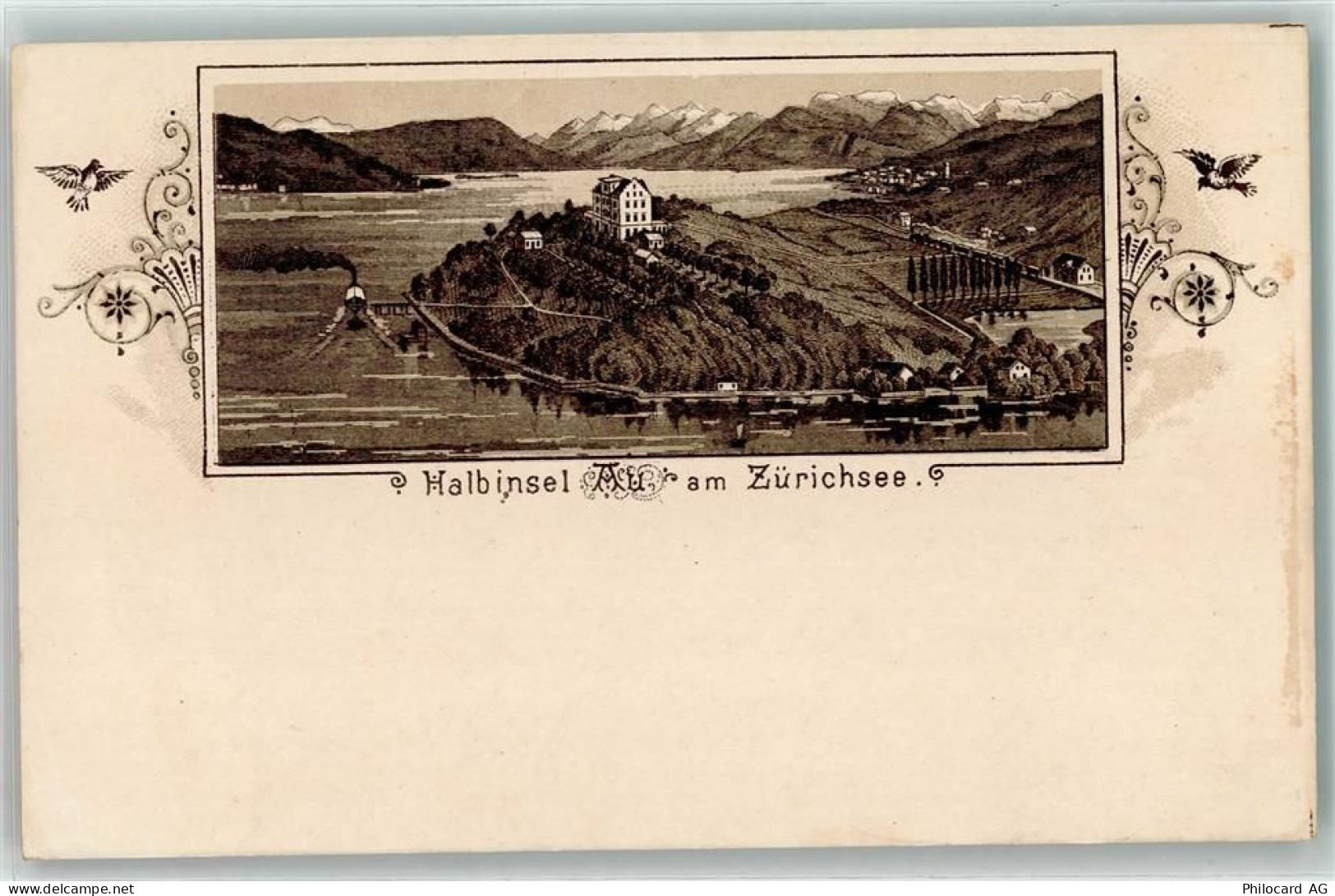 8804 Au ZH 1900 Lithographie Halbinsel Au am Zürichsee - 13449391