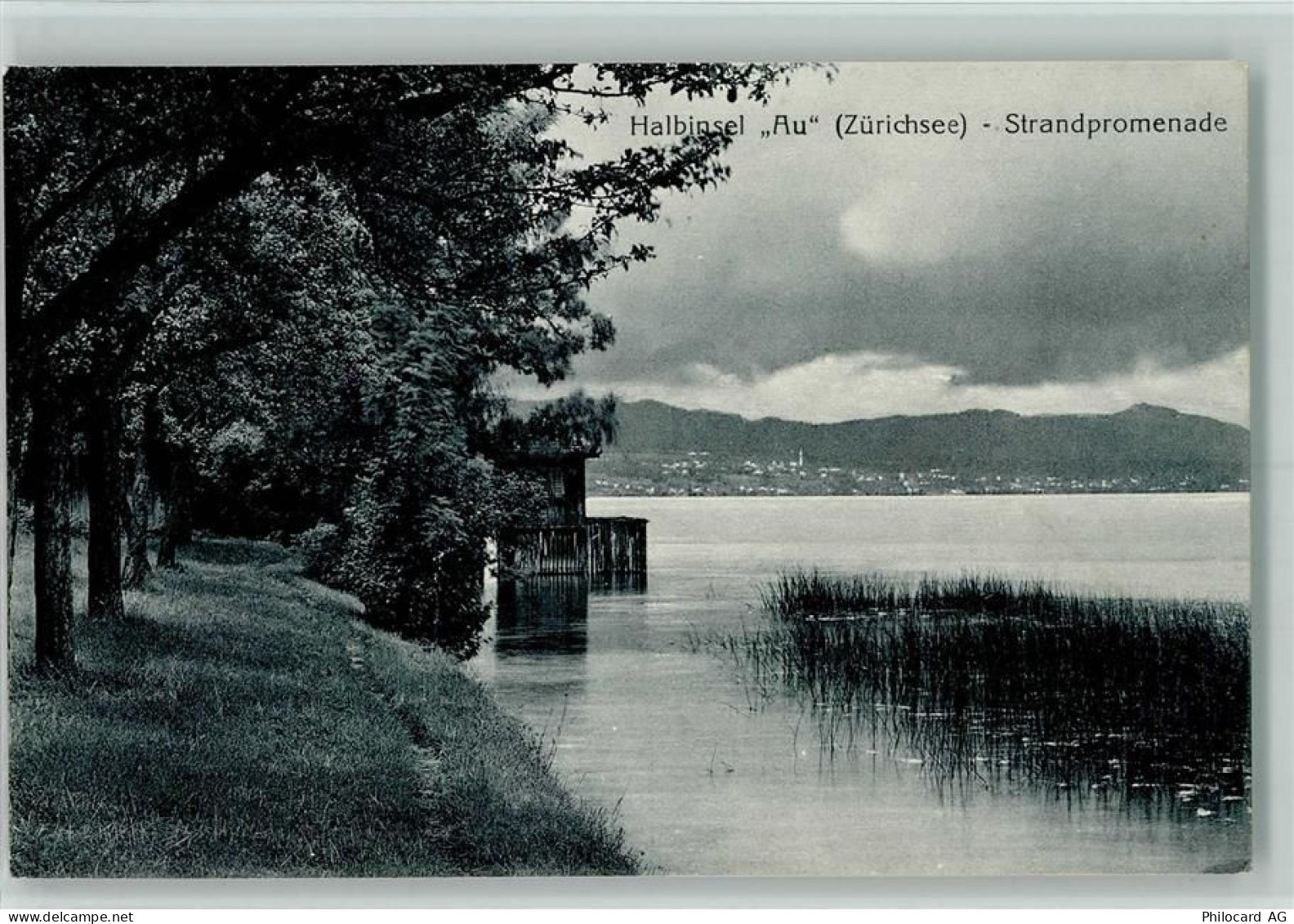 8804 Au ZH 1919 - Halbinsel Au Zürichsee Strandpromenade - 10257265