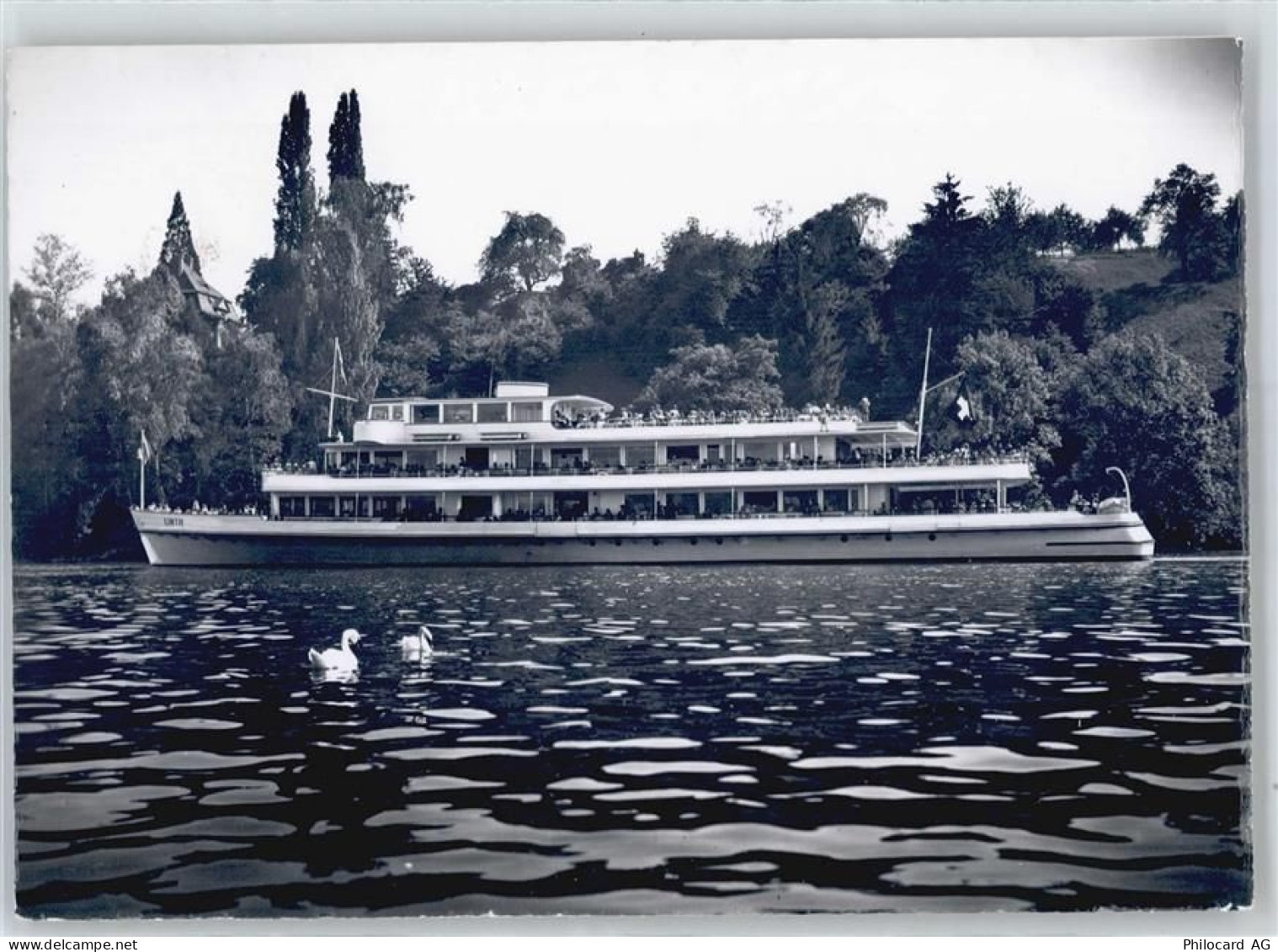 8804 Au ZH - Schiff MS Linth, Halbinsel Au - 50873752