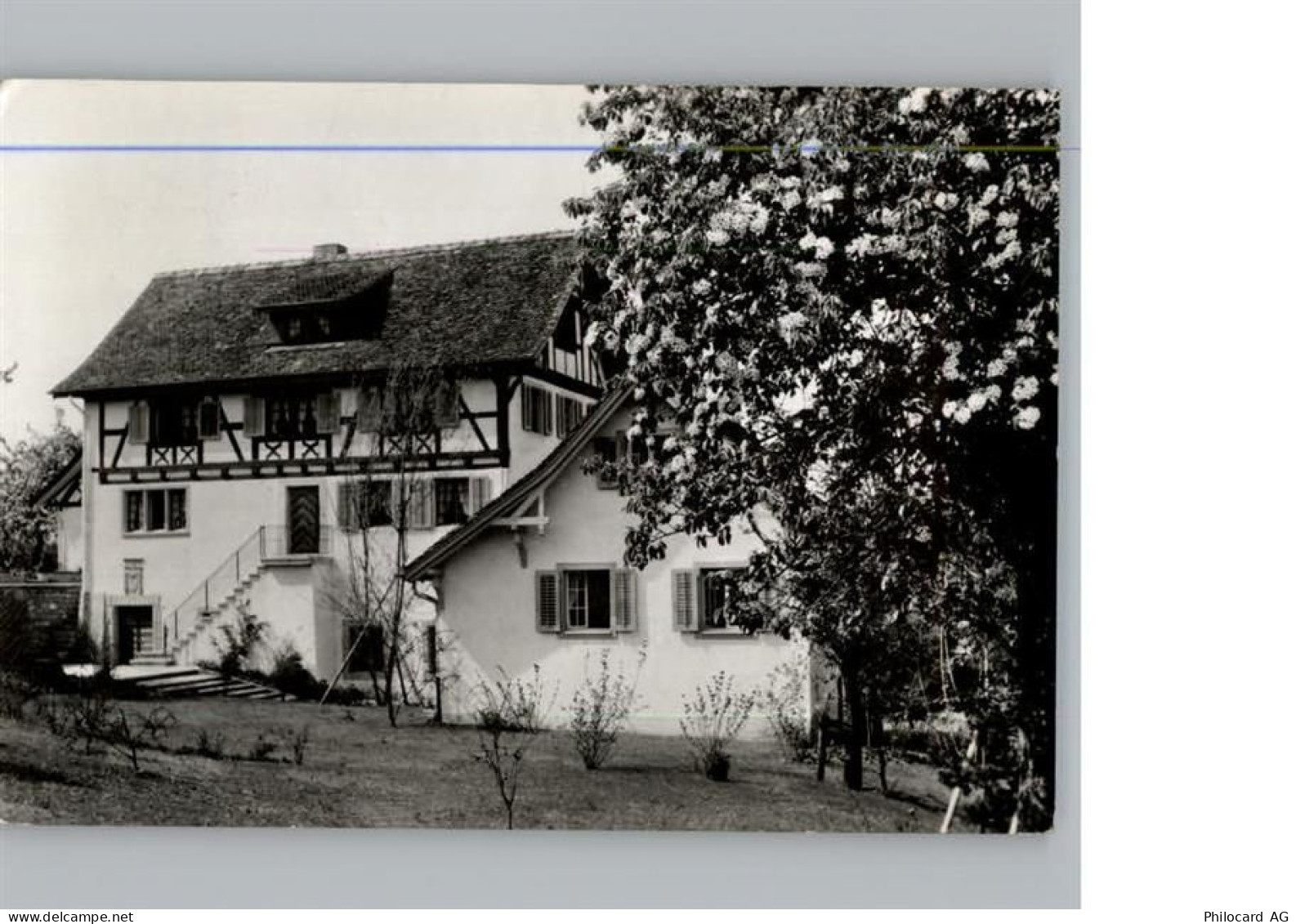 8805 Richterswil - 50222373