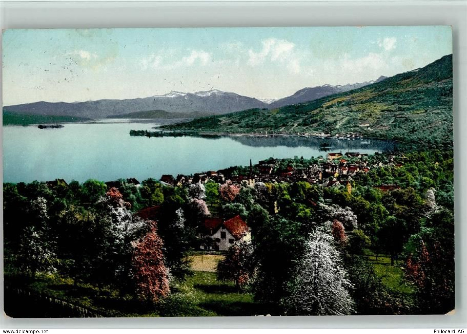 8805 Richterswil - Blick nach Richterswil Baumblüte - 13110411