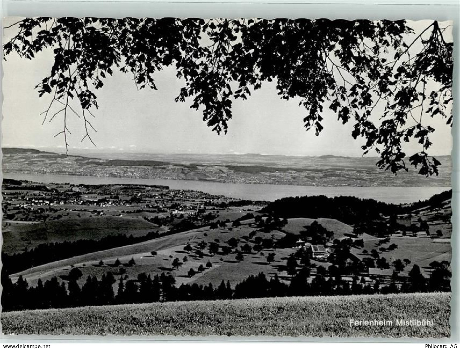 8805 Richterswil - Ferienheim Mistlibühl - 10393658