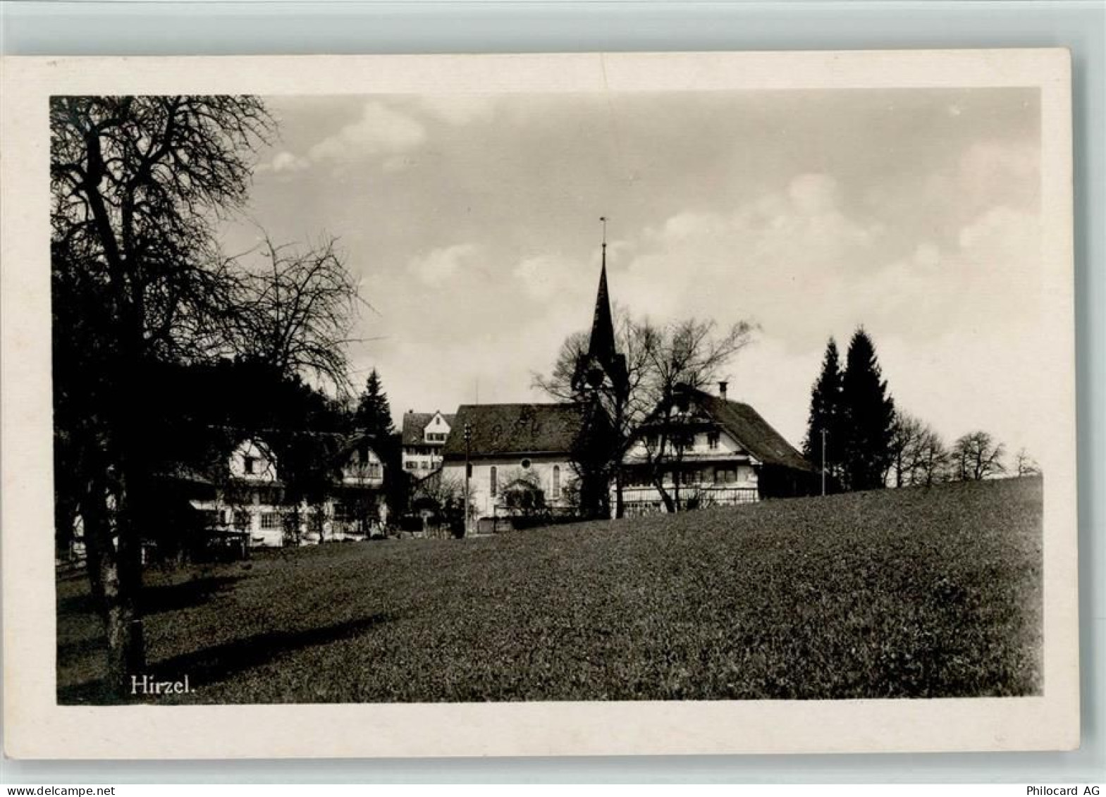 8816 Hirzel - 13113123